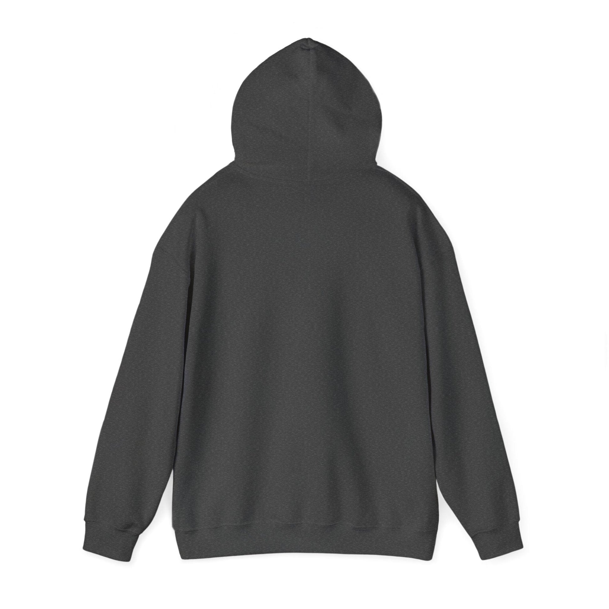 Hoodie Mountain Dreamer Hoodie - You Are Meant for Great Things