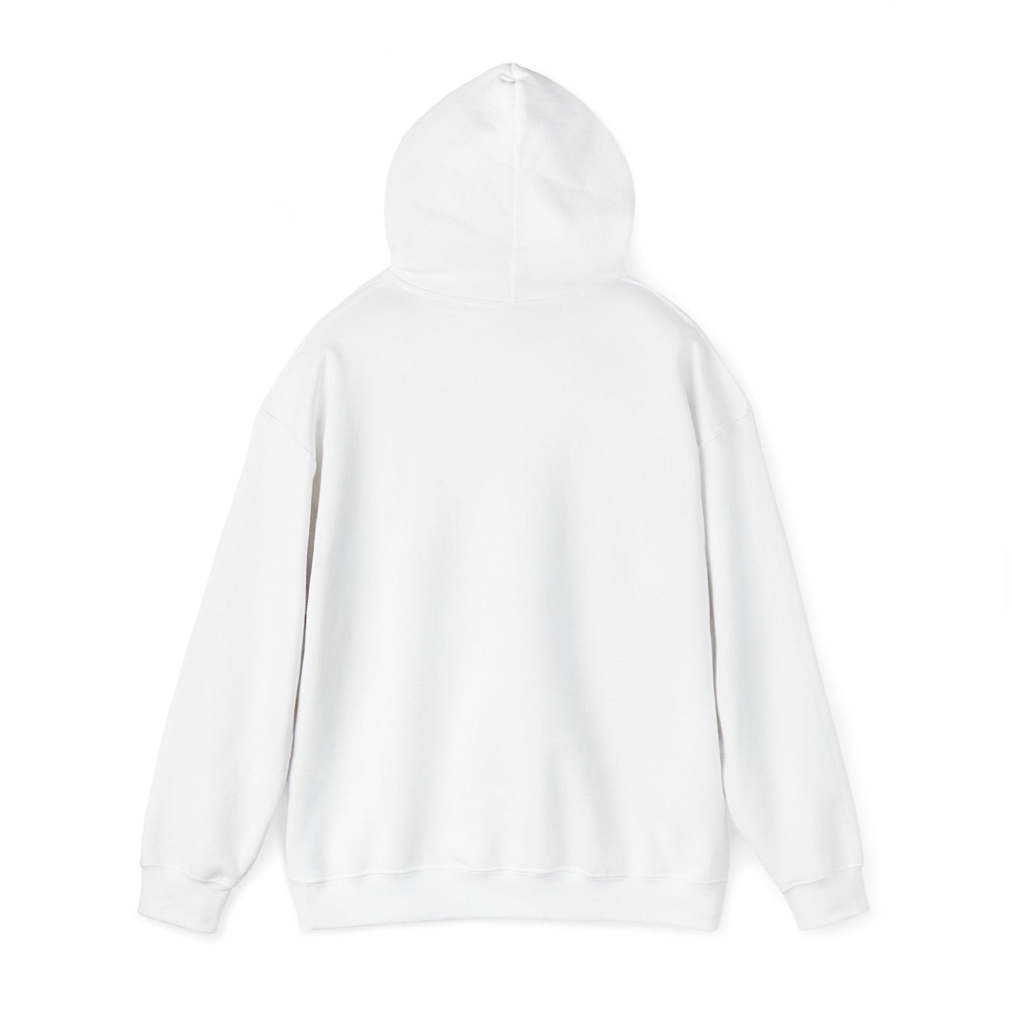 Hoodie Mountain Dreamer Hoodie - You Are Meant for Great Things